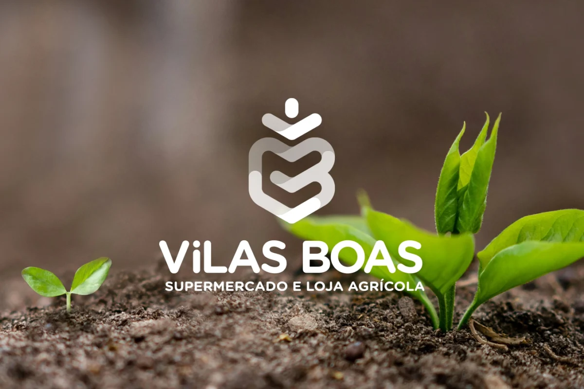 Vilas Boas